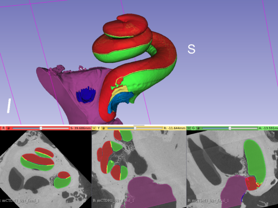 Research image